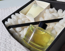 Load image into Gallery viewer, THE GARDEN - DYNAMIC DUO